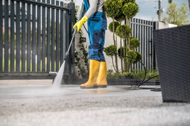 Best Affordable Pressure Washing  in Albany, CA