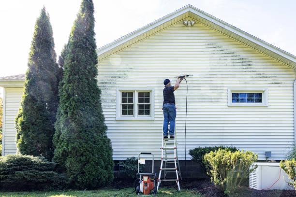 Best Residential Pressure Washing Services  in Albany, CA