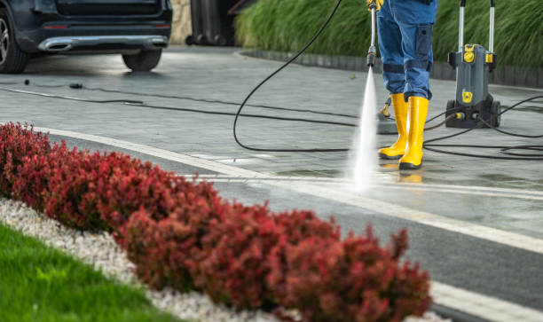  Albany, CA Pressure Washing Pros