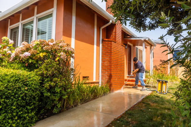 Best Local Pressure Washing Services  in Albany, CA