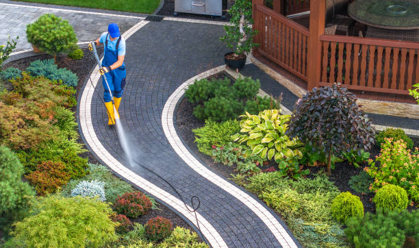 Local Pressure Washing Services in Albany, CA