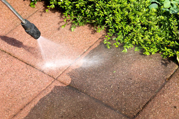 Best Exterior Home Cleaning  in Albany, CA